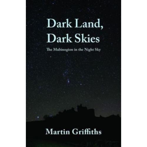 Poetry Wales Press Dark Land, Dark Skies (häftad, eng)
