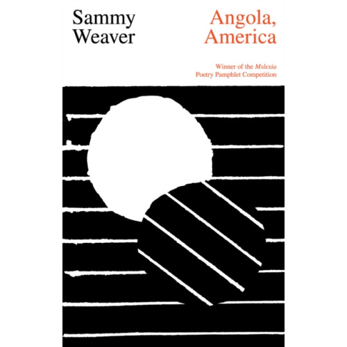 Poetry Wales Press Angola, America (häftad, eng)