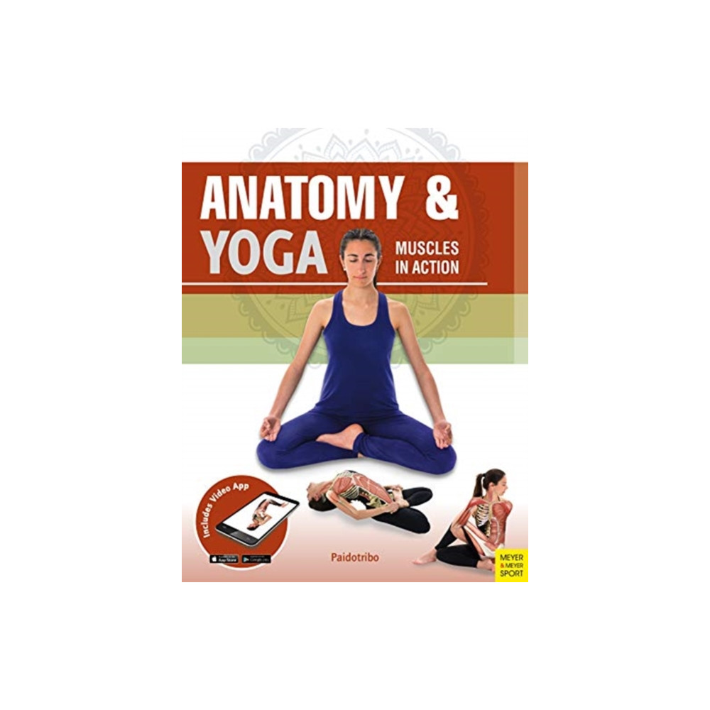 Produktbild för Anatomy & Yoga (häftad, eng)