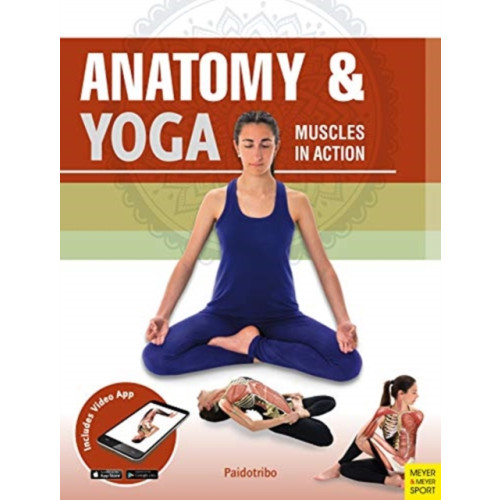 Meyer & Meyer Sport (UK) Ltd Anatomy & Yoga (häftad, eng)