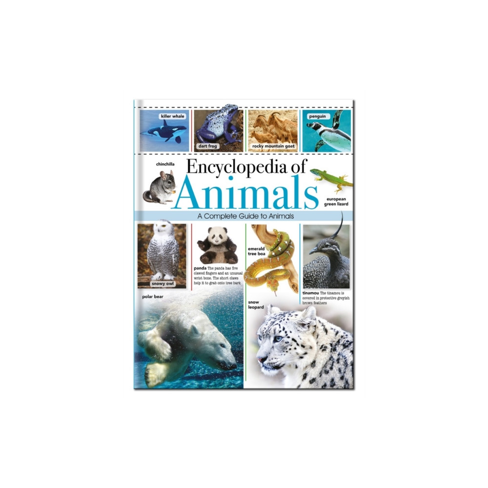 Produktbild för Encyclopedia of Animals (inbunden, eng)