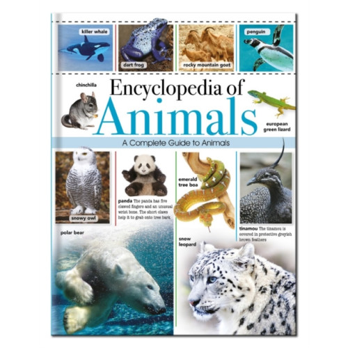 North Parade Publishing Encyclopedia of Animals (inbunden, eng)