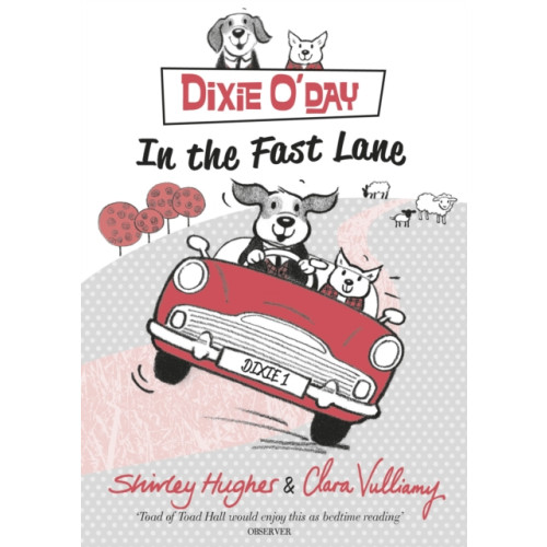 Penguin Random House Children's UK Dixie O'Day: In The Fast Lane (häftad, eng)