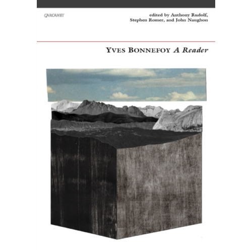Carcanet Press Ltd Poems (häftad, eng)