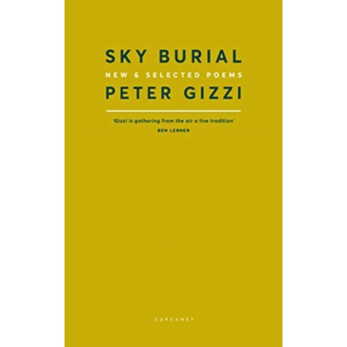 Carcanet Press Ltd Sky Burial (häftad, eng)