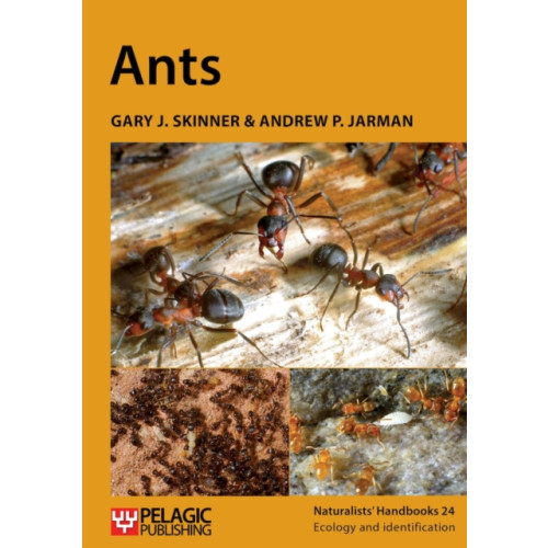 Pelagic Publishing Ants (häftad, eng)