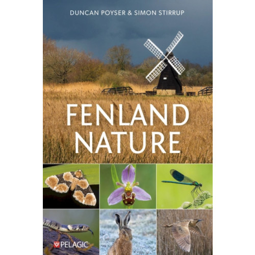 Pelagic Publishing Fenland Nature (häftad, eng)