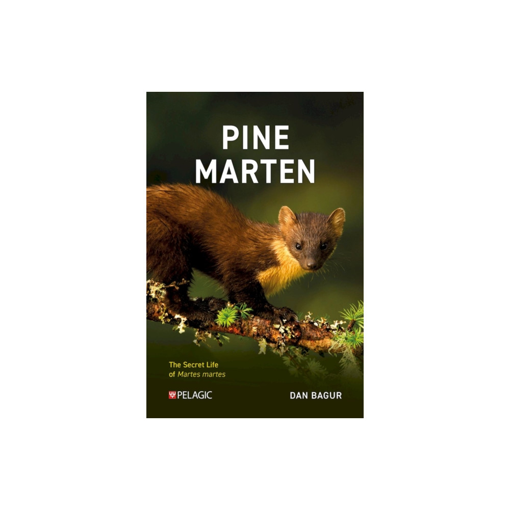 Produktbild för Pine Marten (häftad, eng)