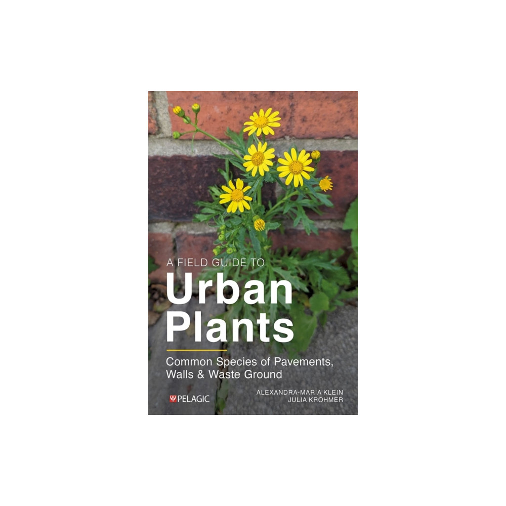 Produktbild för A Field Guide to Urban Plants (häftad, eng)