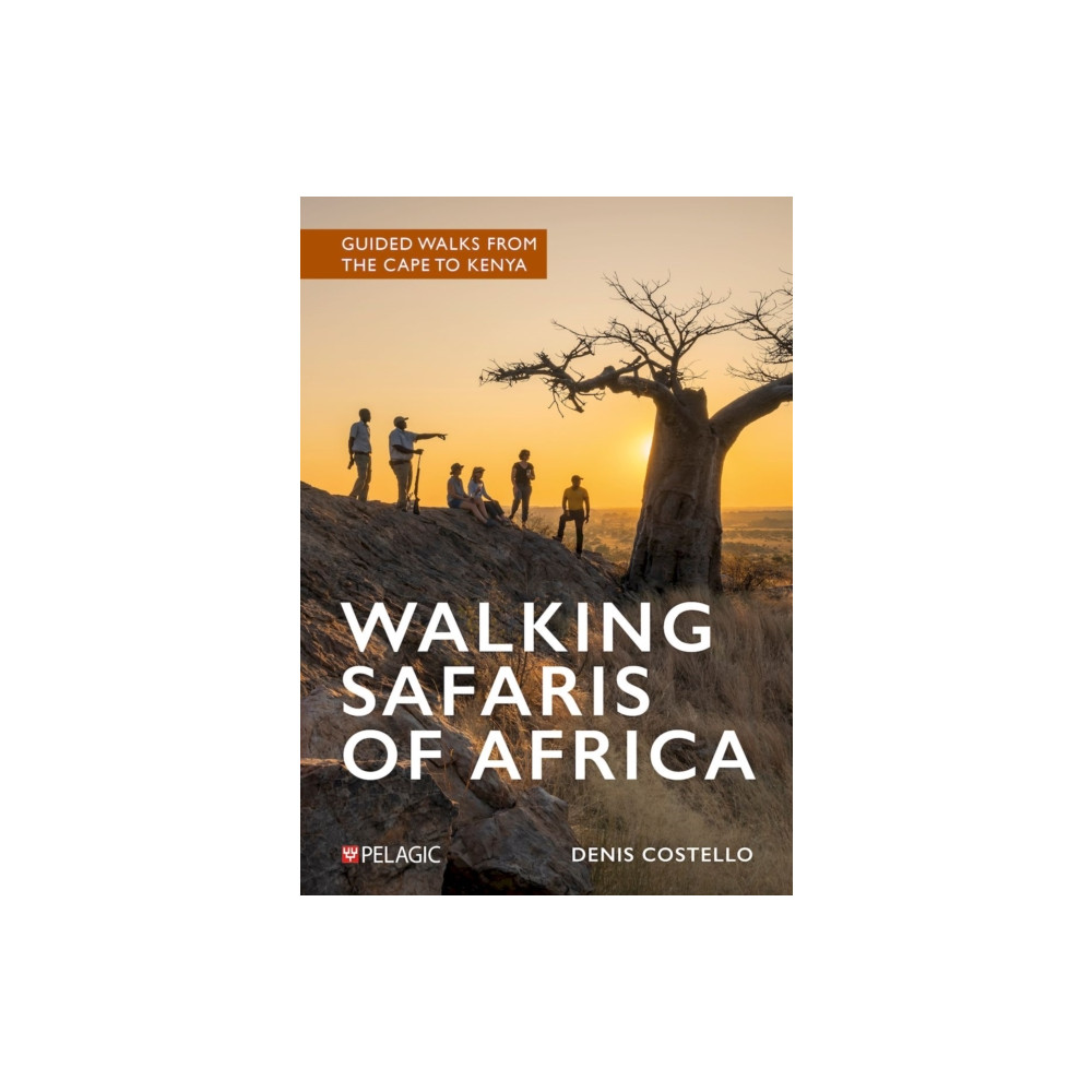 Produktbild för Walking Safaris of Africa (häftad, eng)