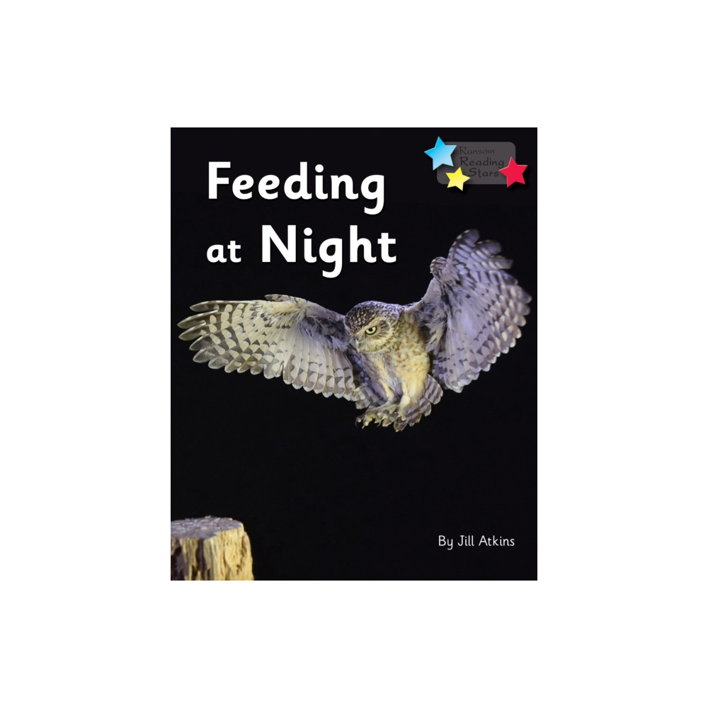 Produktbild för Feeding at Night (häftad, eng)
