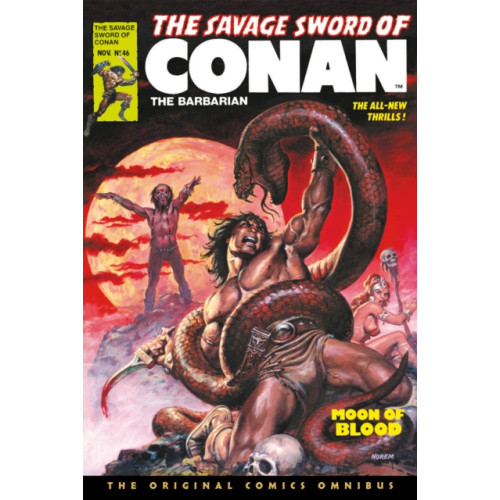 Titan Books Ltd The Savage Sword of Conan: The Original Comics Omnibus Vol.4 (inbunden, eng)
