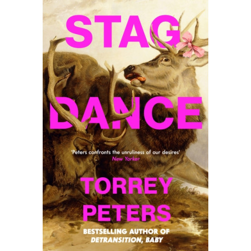 Profile Books Ltd Stag Dance (inbunden, eng)