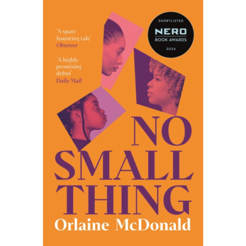 Profile Books Ltd No Small Thing (häftad, eng)