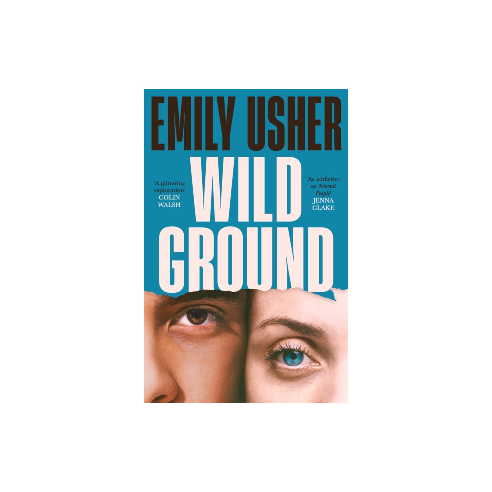 Produktbild för Wild Ground (häftad, eng)