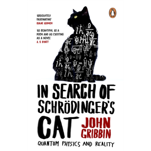 Transworld publishers ltd In Search Of Schrodinger's Cat (häftad, eng)
