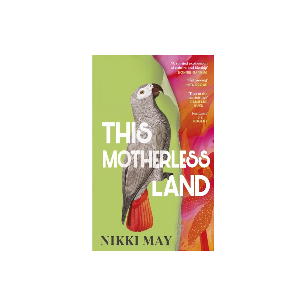 Produktbild för This Motherless Land (häftad, eng)