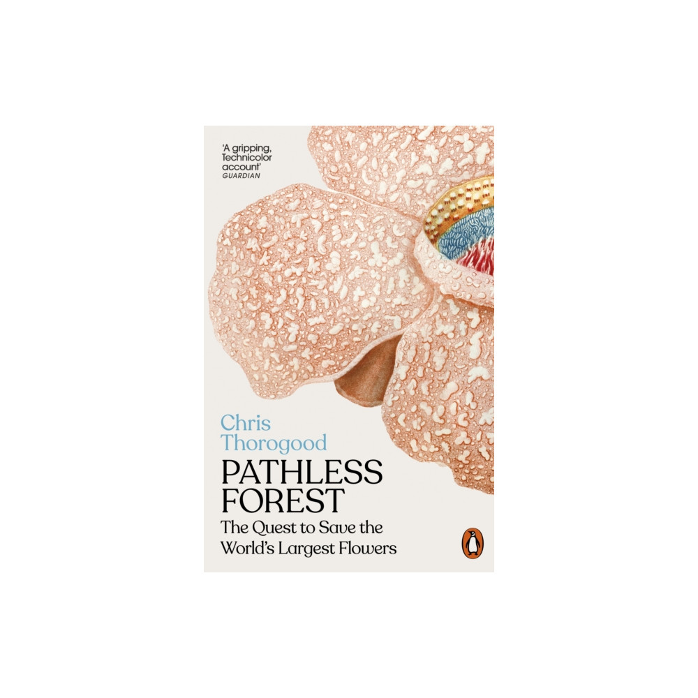 Produktbild för Pathless Forest (häftad, eng)