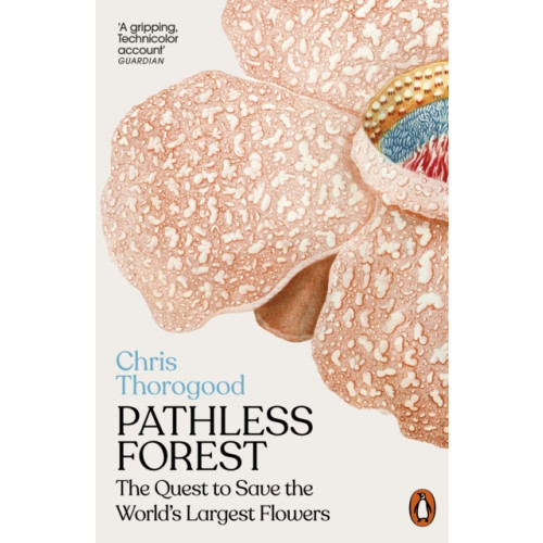 Penguin books ltd Pathless Forest (häftad, eng)