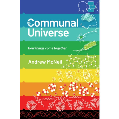 Troubador Publishing The Communal Universe (häftad, eng)