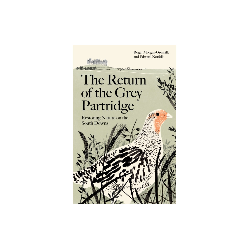 Produktbild för The Return of the Grey Partridge (häftad, eng)