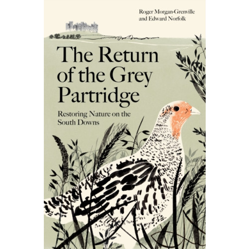 Profile Books Ltd The Return of the Grey Partridge (häftad, eng)