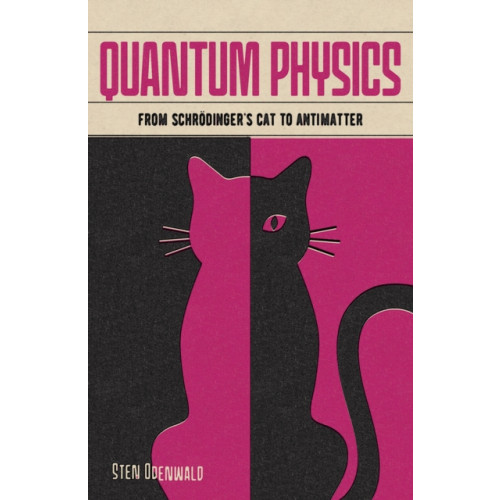 Arcturus publishing ltd Quantum Physics (häftad, eng)