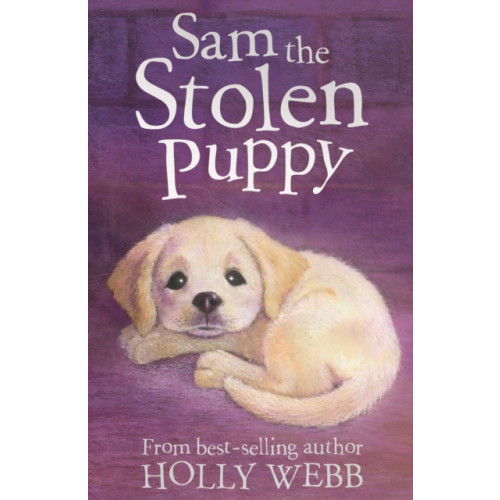 Little Tiger Press Group Sam the Stolen Puppy (häftad, eng)