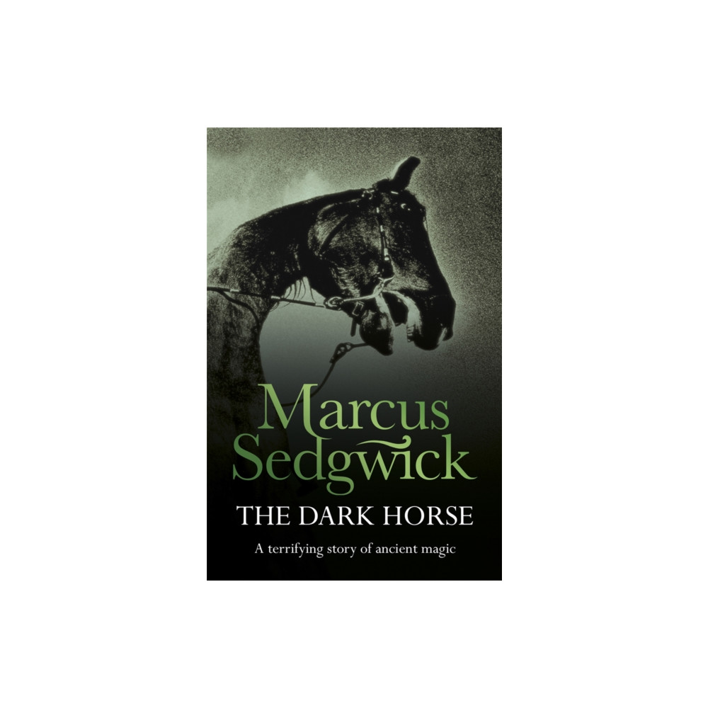 Produktbild för The Dark Horse (häftad, eng)