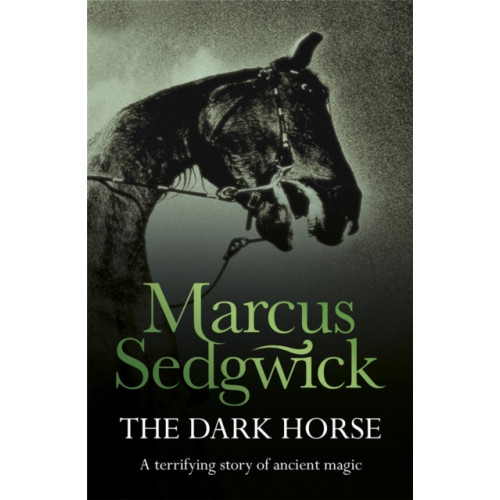 Hachette Children's Group The Dark Horse (häftad, eng)