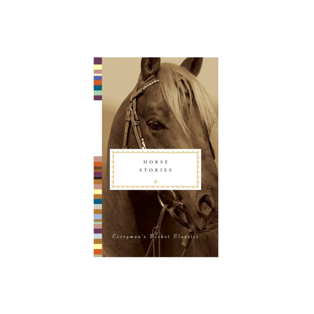 Produktbild för Horse Stories (inbunden, eng)