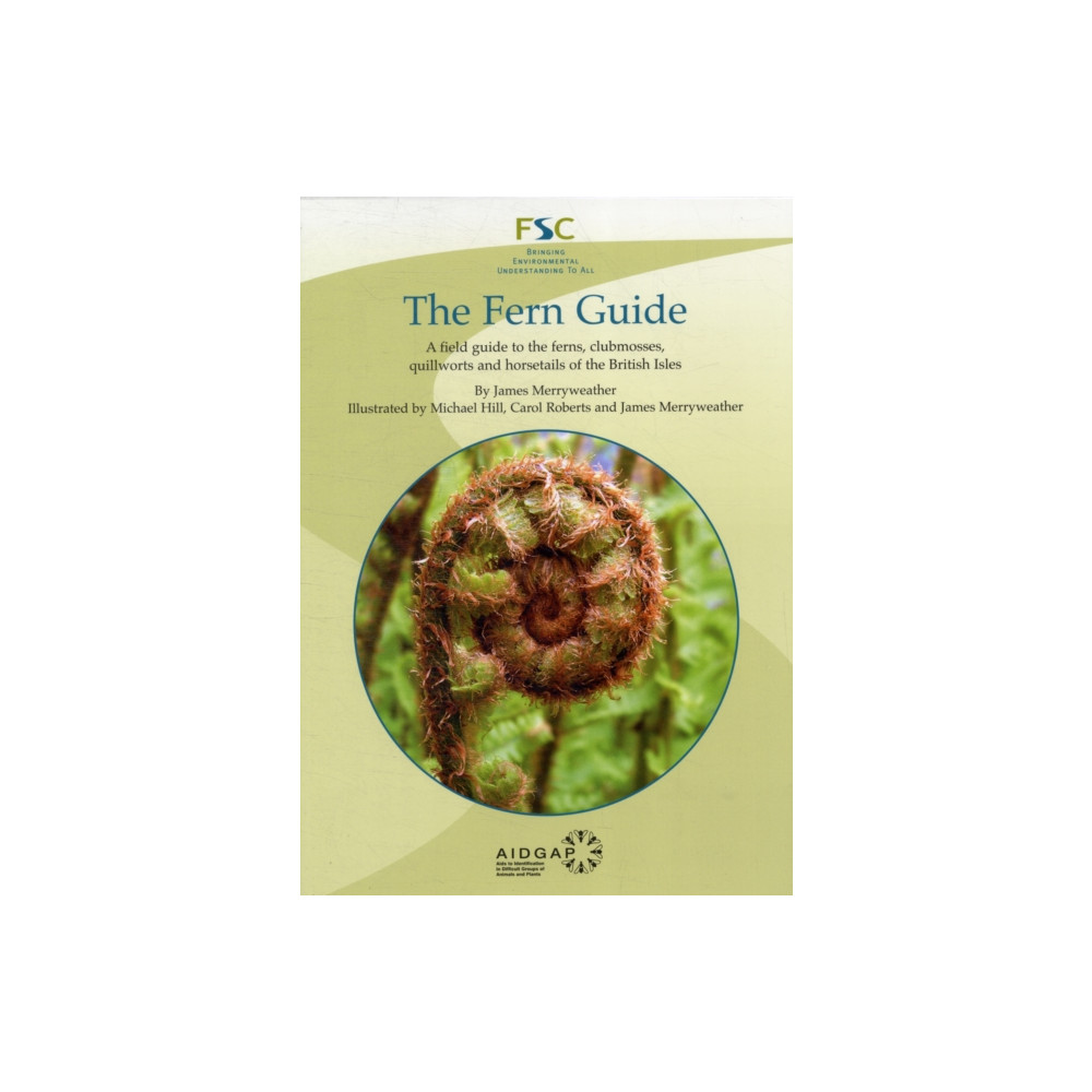 Produktbild för The Fern Guide (häftad, eng)