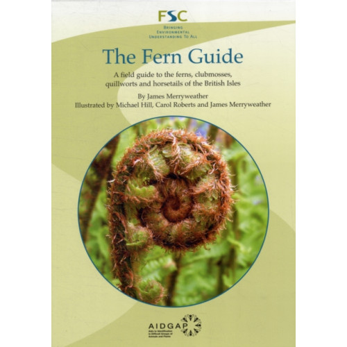 Field Studies Council The Fern Guide (häftad, eng)