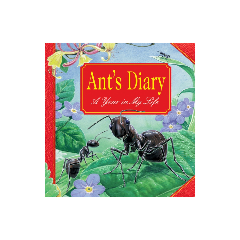 Produktbild för Ant's Diary (inbunden, eng)