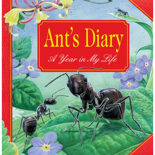 Anness publishing Ant's Diary (inbunden, eng)