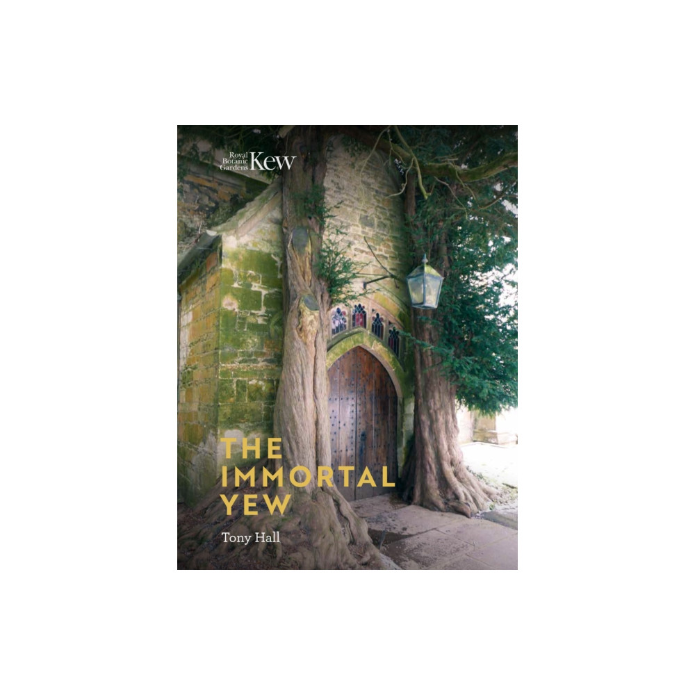 Produktbild för Immortal Yew, The (inbunden, eng)