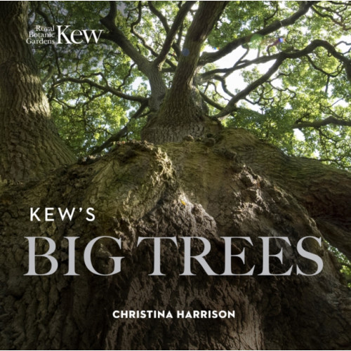 Royal Botanic Gardens Kew’s Big Trees (häftad, eng)