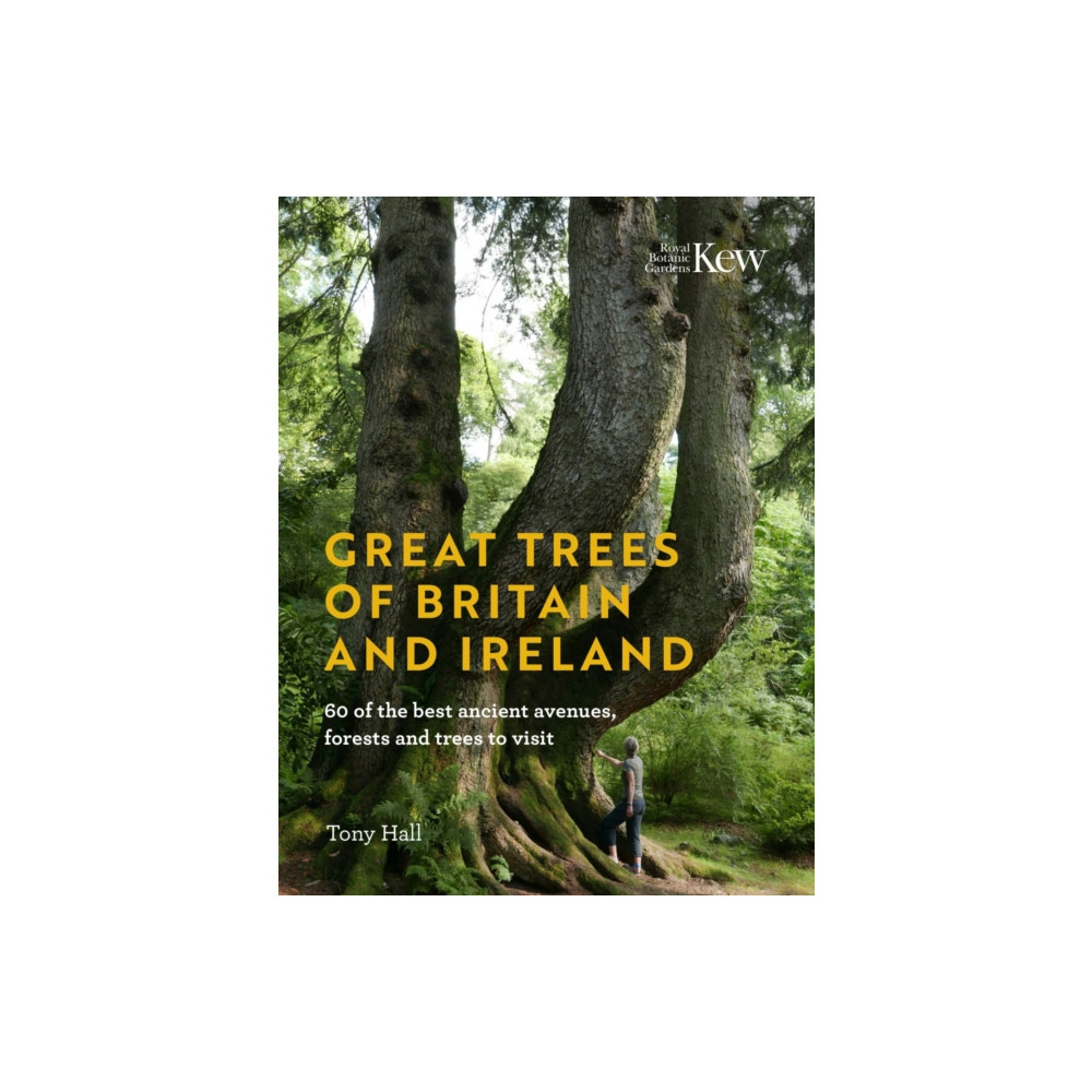Produktbild för Great Trees of Britain and Ireland (inbunden, eng)