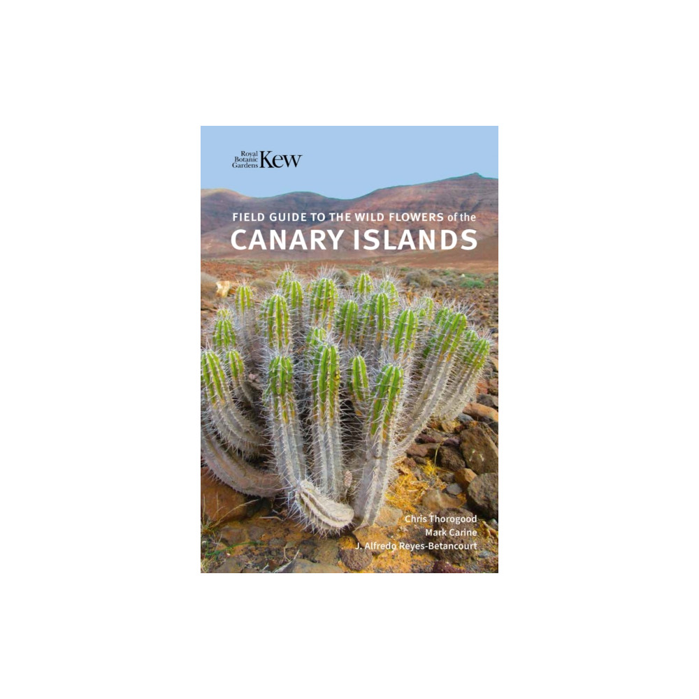 Produktbild för Field Guide to the Wild Flowers of the Canary Islands (häftad, eng)
