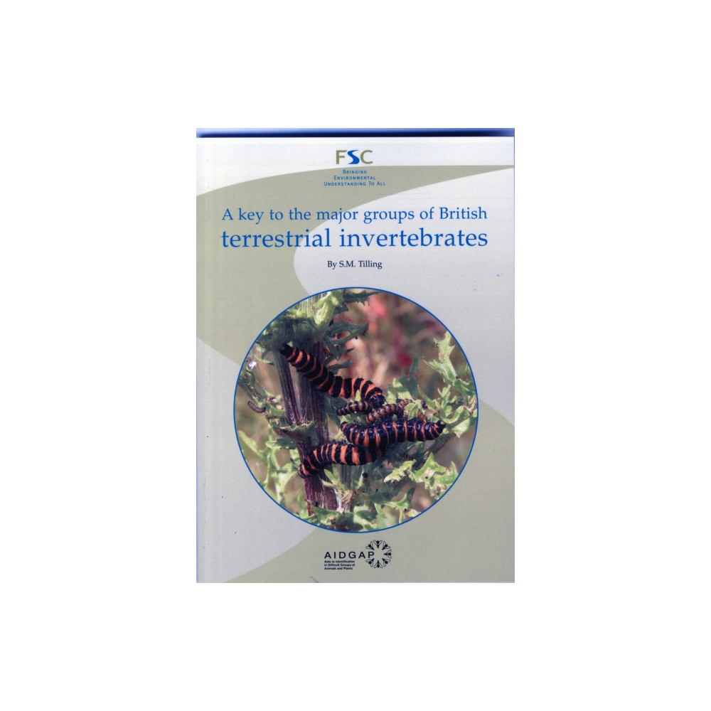 Produktbild för A Key to the Major Groups of Terrestrial Invertebrates (häftad, eng)