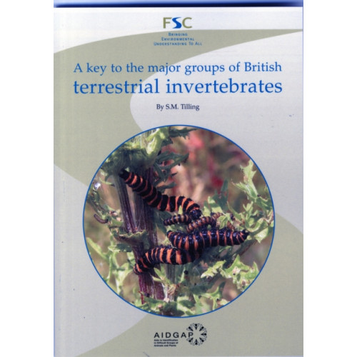 Field Studies Council A Key to the Major Groups of Terrestrial Invertebrates (häftad, eng)
