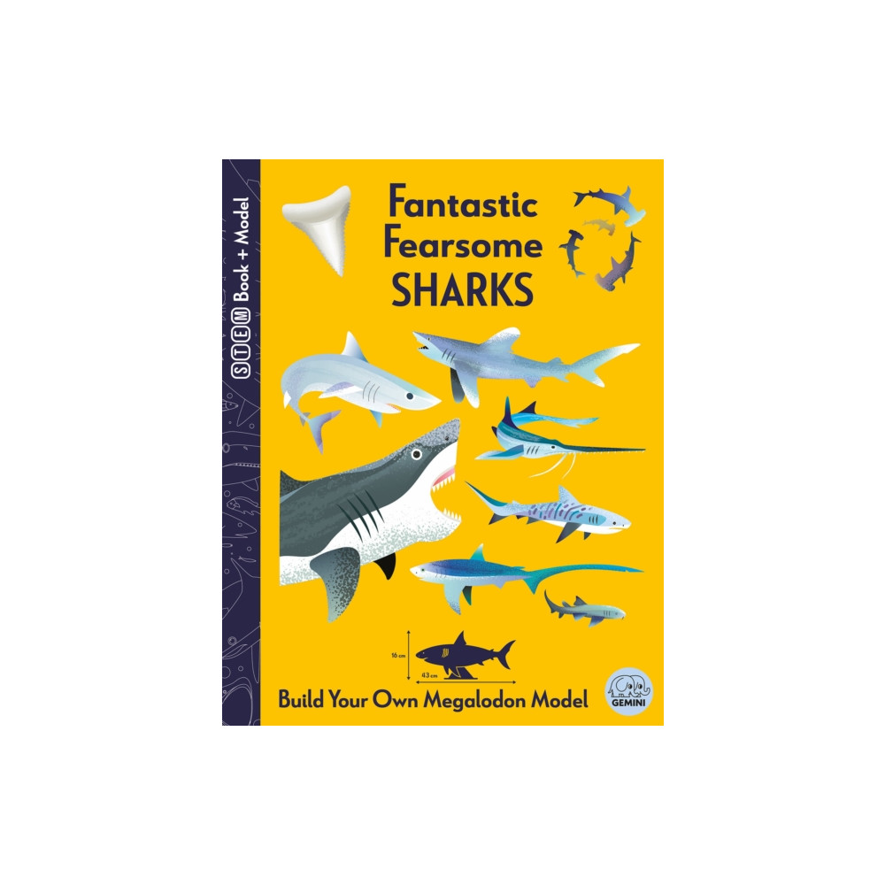 Produktbild för Fantastic Fearsome Sharks (bok, board book, eng)