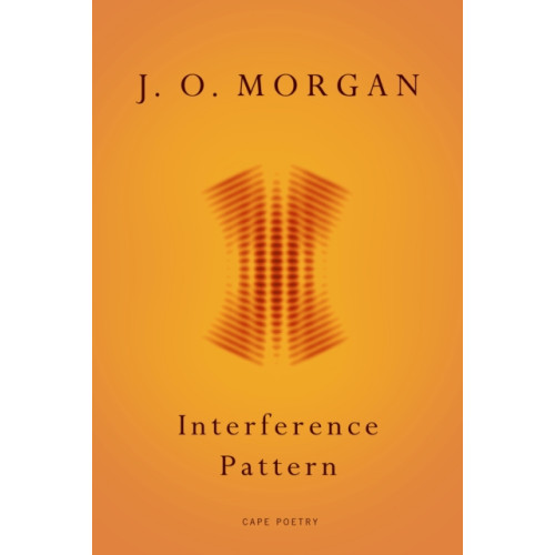 Vintage Publishing Interference Pattern (häftad, eng)