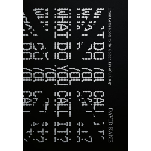 Velocity Press What Do You Call It? (häftad, eng)