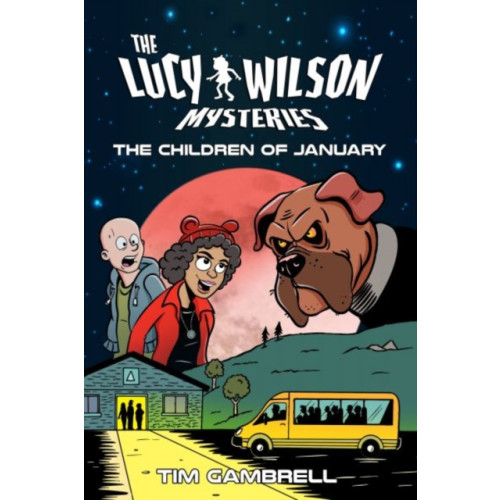 Candy Jar Books The Lucy Wilson Mysteries (häftad, eng)