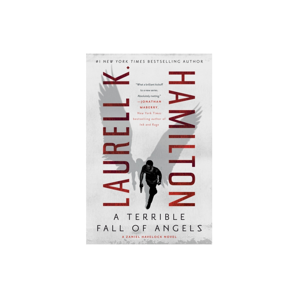 Produktbild för A Terrible Fall of Angels (häftad, eng)