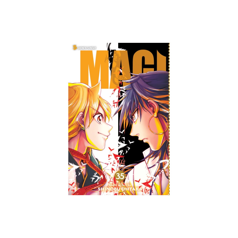 Produktbild för Magi: The Labyrinth of Magic, Vol. 35 (häftad, eng)
