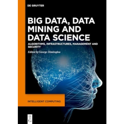 De Gruyter Big Data, Data Mining and Data Science (inbunden, eng)