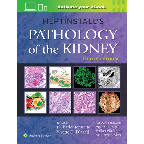 Wolters Kluwer Health Heptinstall's Pathology of the Kidney (inbunden, eng)