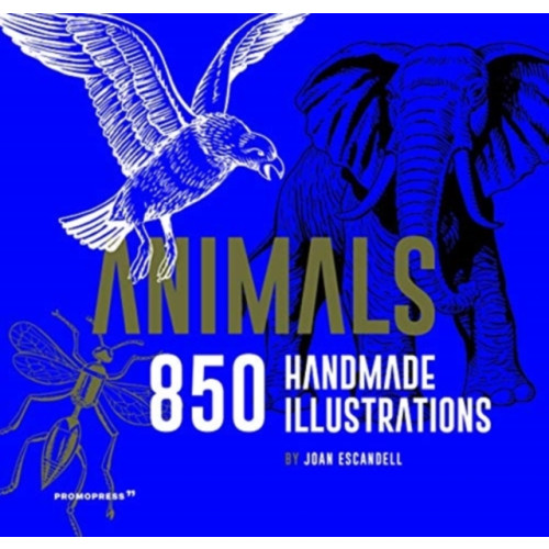 Promopress Animals: 850 Handmade Illustrations (inbunden, eng)